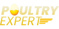 Poultry Expert Eggs
